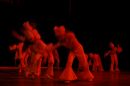 Click to see dsc_0192.jpg