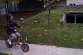 IMAG0245