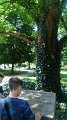 IMG_20180604_110124