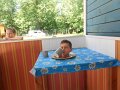 DSCN0286