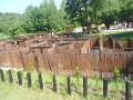 DSCN0330